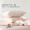 水星家纺丨冷杉玫瑰四件套 商品缩略图3