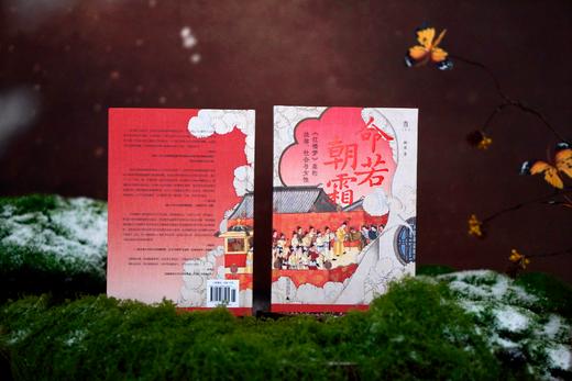 【限量定制珍藏本】命若朝霜：《红楼梦》里的法律、社会与女性【布面精装+书口喷绘+定制封面+局部烫印+珍藏编号页+签名题词钤印】限量1000册 商品图11