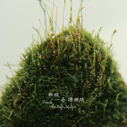 【自由与想象】竹马水晶琉璃香囊—镜湖边 | 四月苔「时节新香」 商品图2