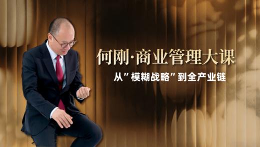 从“模糊战略”到全产业链 商品图0