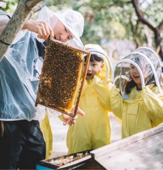 春假4.4-6【郫都区.春日奇遇3天2夜托管】七大主题：植树，摘野菜做青团，野炊大赛，制作叫花鸡，竹竿面包，探秘蜂巢，风筝diy涂鸦，晚间作业辅导。 商品图1
