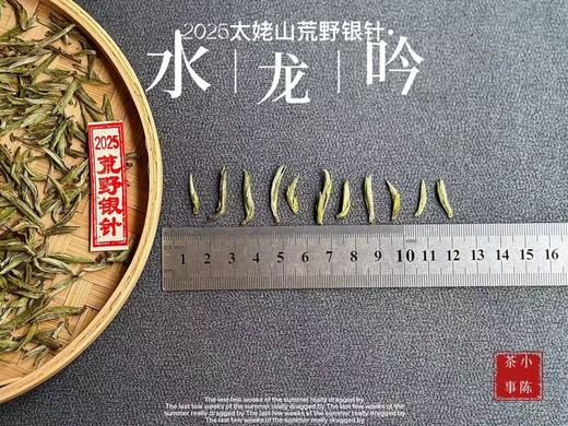【2026春茶预订】2026荒野银针《水龙吟》，盛开在初春暖花中的碧水云天，野劲十足，野性十足！ 商品图1
