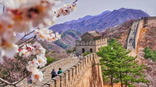 4.1/4.2【寻味北京亲子5日】读故宫国博/军博、畅玩环球～拒绝走马观花！长城、天坛、进清/北、逛胡同 商品图11