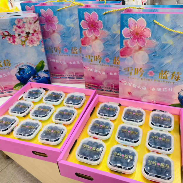 雪吟蓝莓🫐一箱（9盒）