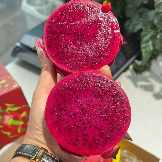 海南红心火龙果 商品图5