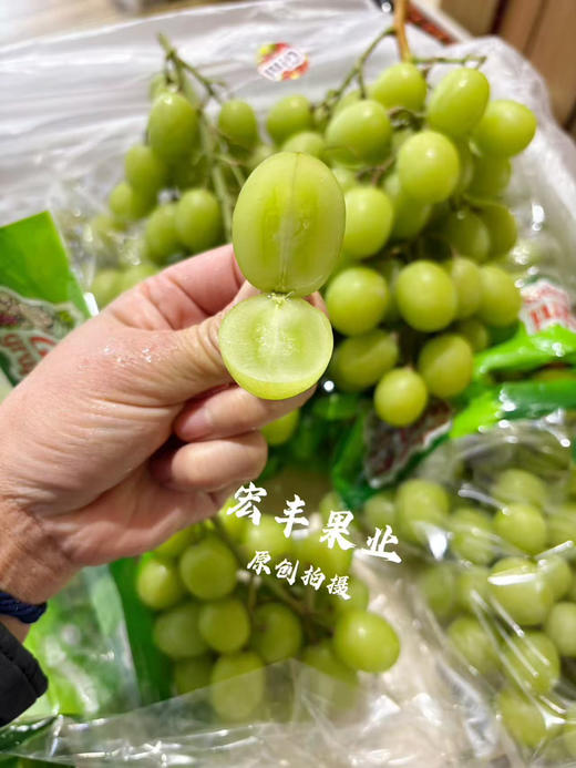 宏丰精选 进口甜地球青提  脆甜爽口  活动价23.8元一斤 商品图5