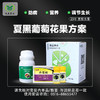 夏黑葡萄花果方案包 （兑水30斤）安全，防病，高效，操作简单。 商品缩略图0