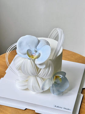 艺术风蝴蝶兰女生生日蛋糕