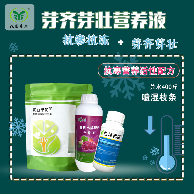 葡萄芽齐芽壮营养液    兑水400斤，喷施枝干5-7天一次，连喷3-4次