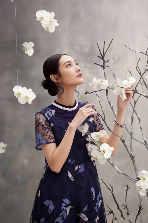 HJ2S50_黛蓝色_连衣裙_四季_优雅复古撞色网纱刺绣圆领收腰显瘦中裙_高级女装_BERNIEELEN 伯妮斯茵 商品图6