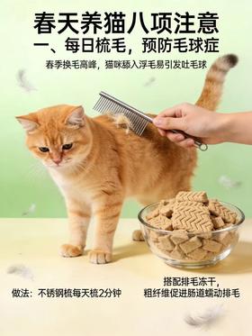 春天养猫八项注意！！