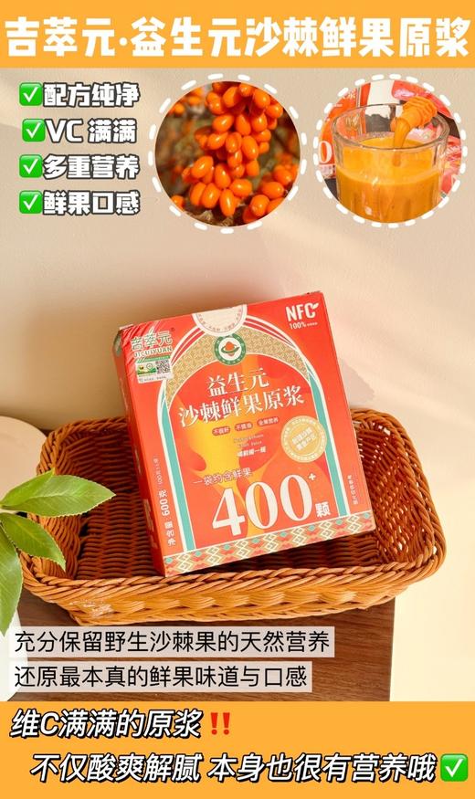 吉萃元益生元沙棘鲜果原浆 商品图2