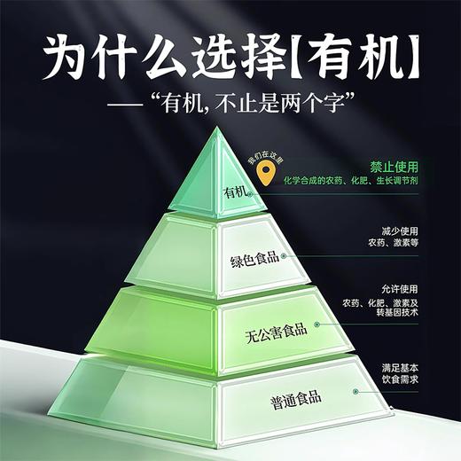 【洪星竹▪有机嫩笋尖】有机鲜采脆嫩无渣 清甜爽口鲜嫩多汁 商品图2