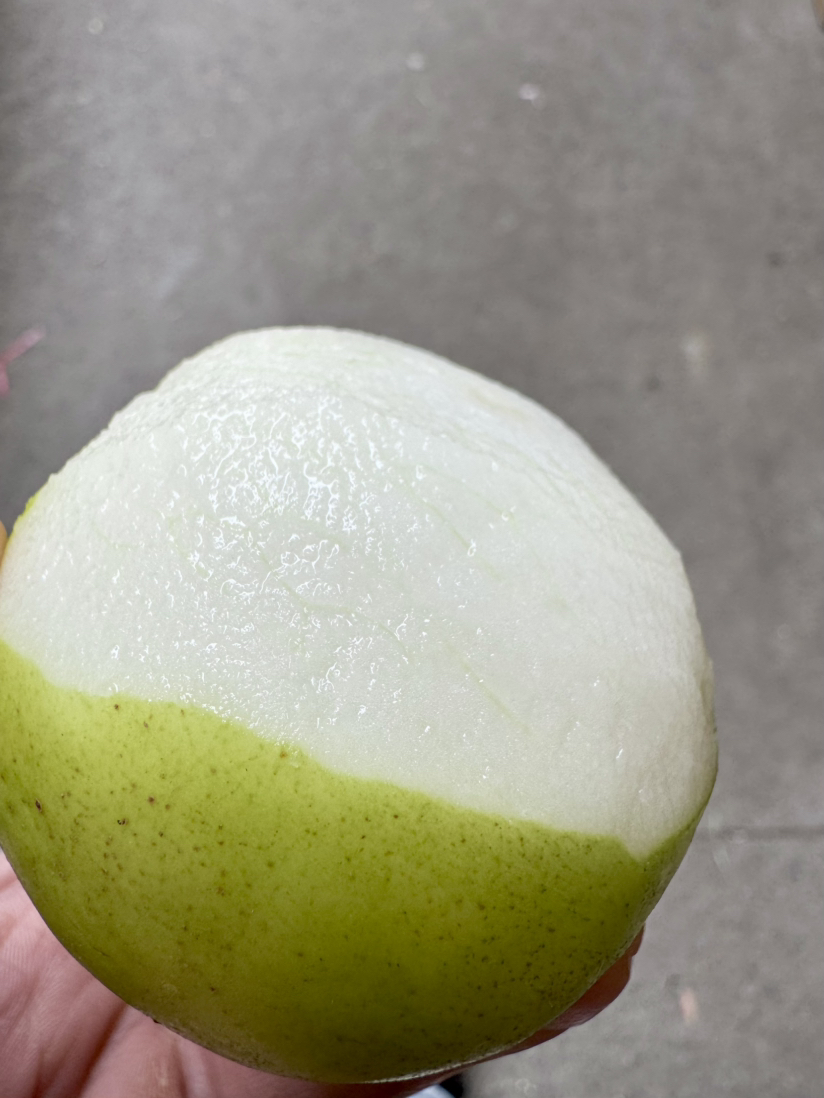 我是苹果也是枣，清甜爽口，水分多多，适合想瘦瘦的，高血脂的，高血糖的，还有过年宅家胡吃海喝的，刮油！