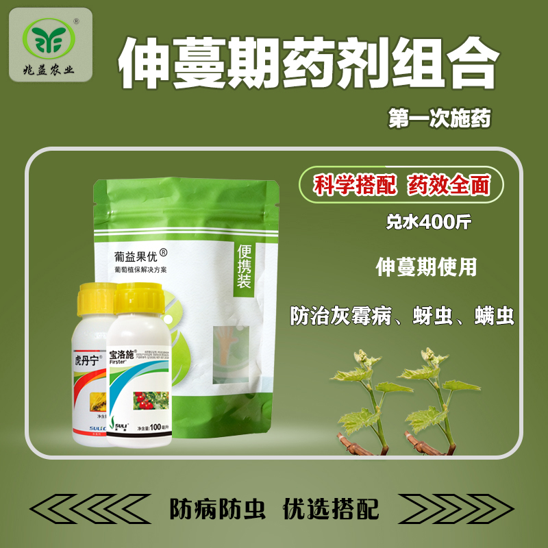 葡萄伸蔓期第一次药剂防护组合防治红蜘蛛蚜虫霜霉灰霉病