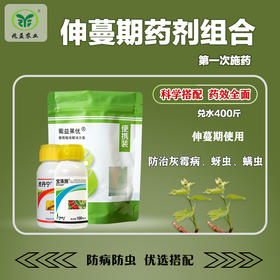 葡萄伸蔓期第一次药剂防护组合防治红蜘蛛蚜虫霜霉灰霉病