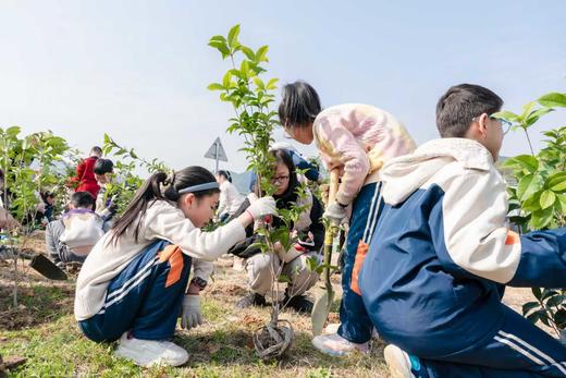 【智行研学】3.14植此新绿 商品图1