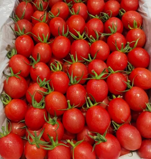 品牌电白千禧小番茄礼盒顺丰包邮*3箱 商品图4