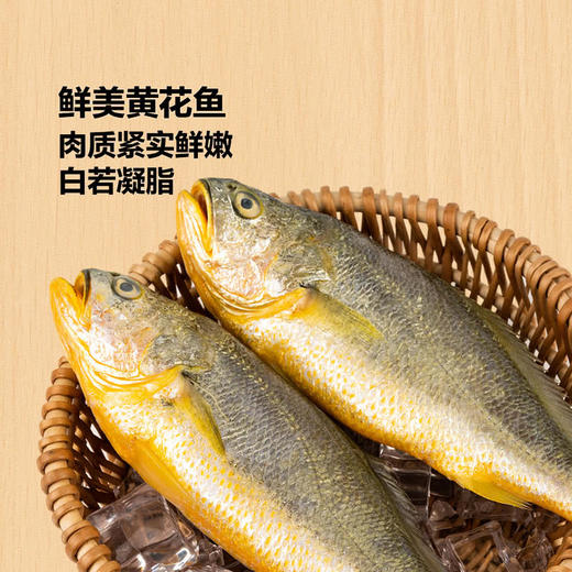 MM 山姆 船歌 海鲜全家福水饺 1056g 商品图4