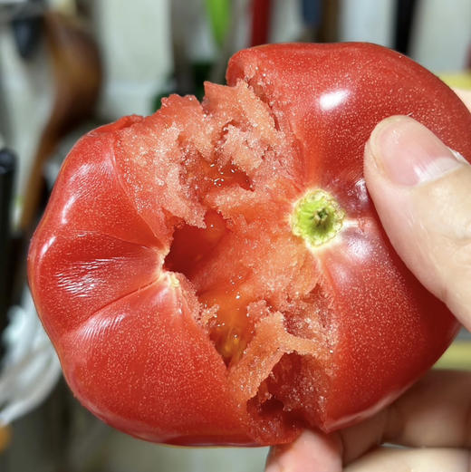 普罗旺斯西红柿 商品图4