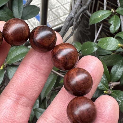 【青山特惠】1.5*15颗海黄紫油梨老料手串 h15 商品图2