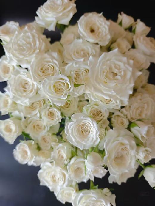 白色多头玫瑰10枝 商品图0