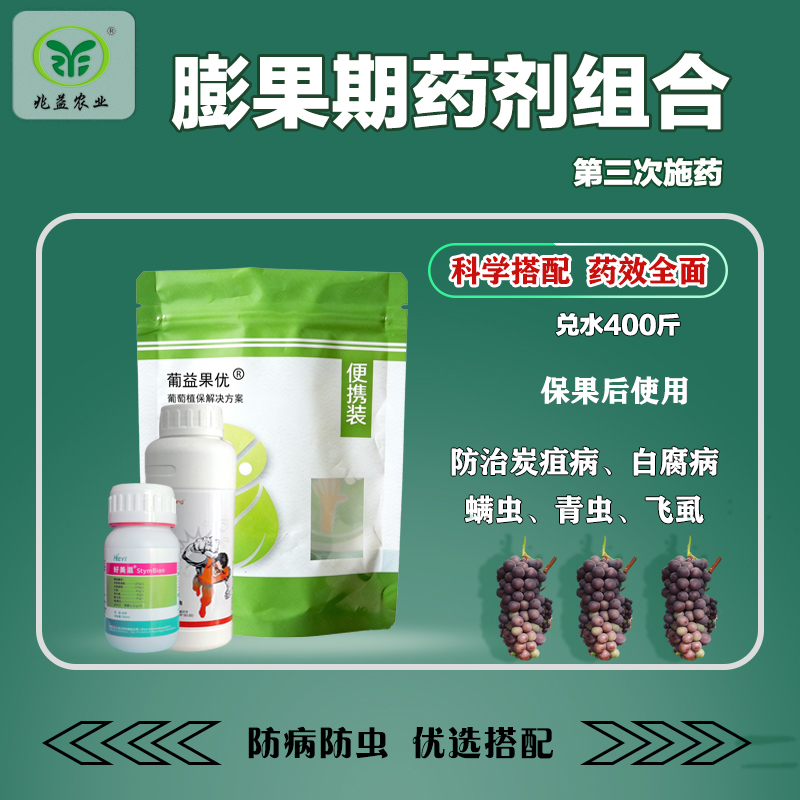 葡萄膨果期第三次药剂防治组合防治炭疽病螨虫蚜虫
