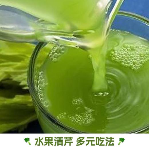 【云南高原水果清芹】脆嫩多汁清甜无渣 清香回甘生吃爽口 商品图6