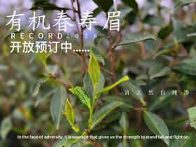 【2026春茶预订】2026有机春寿眉《芙蓉娇》、甜花香深遂得像一条花香遂道一般，漫长而幽深！