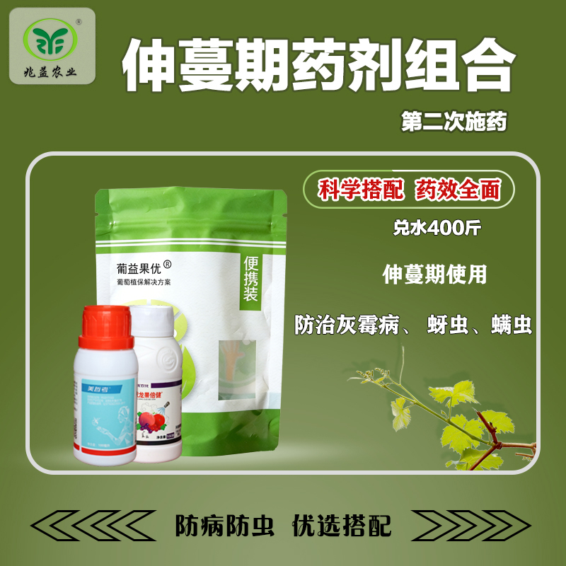 葡萄伸蔓期第二次药剂防护组合防治灰霉蚜虫红蜘蛛补充叶面营养