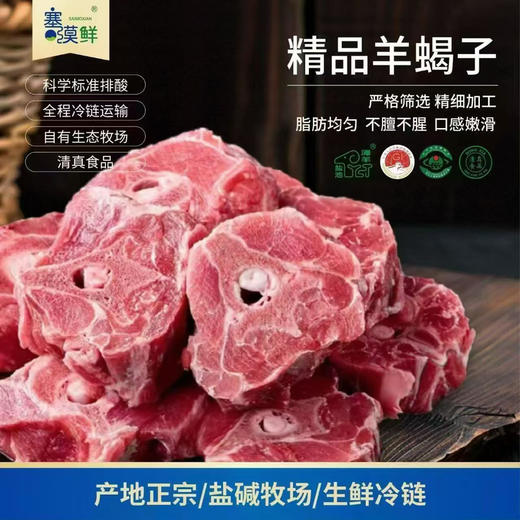 石家庄优选仓库速达，塞漠鲜盐池滩羊，肉质细嫩、无膻腥味、脂肪分布均匀，净含量:500g/袋 商品图0