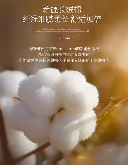 EP雅荷叶边拼接长袖新疆长绒棉打底T恤 商品图10