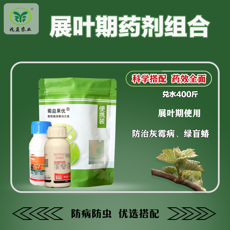 葡萄展叶期药剂组合有效防治灰霉病绿盲蝽