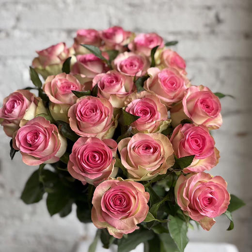 玫瑰.水精灵 商品图0