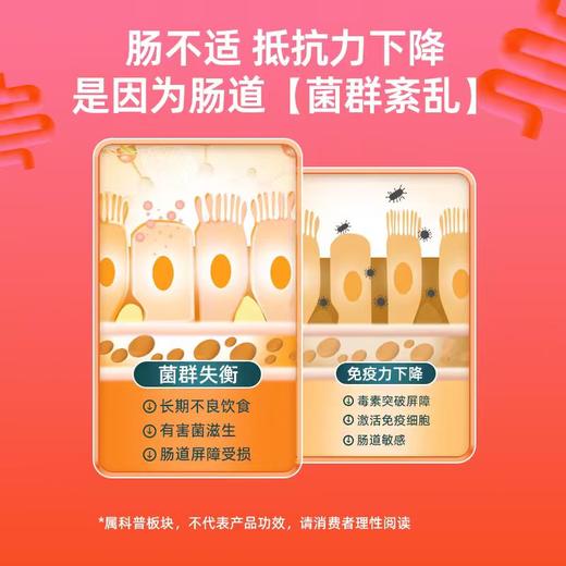 保税直发 bio-kult 百康百德 每日肠道益生菌胶囊 60粒/盒 1盒装/3盒装 商品图4