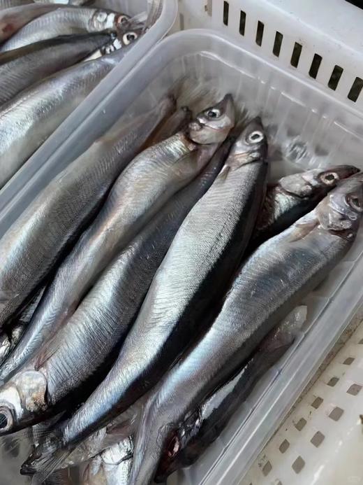 xm【好鲜刚到港】超鲜的满籽多春鱼，新鲜度满满渔船回港来货咯！今天给大家安排上，鲜度看得见，活冻！ 商品图2