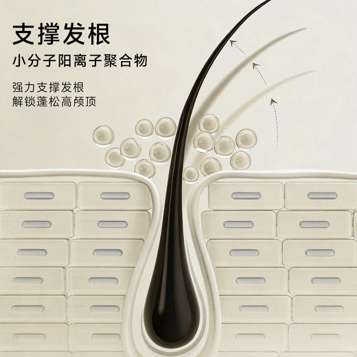 ⁴99元/2瓶加赠护发素【控油蓬松洗发水&滋养柔顺洗发水】YC04-CR-YK 商品图4