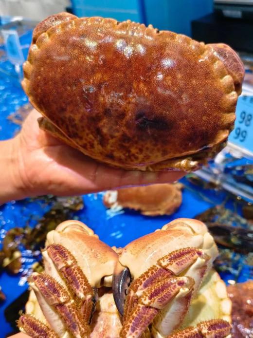 & 大面包蟹🦀满满蟹肉蟹黄，品质超赞👍【活冻】 商品图0