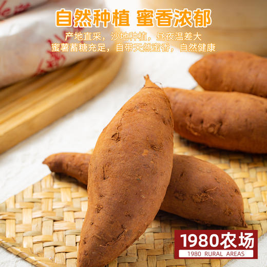 云南可烤榴莲蜜薯  黄金糖度|为烤而生|绵密化沙 商品图4