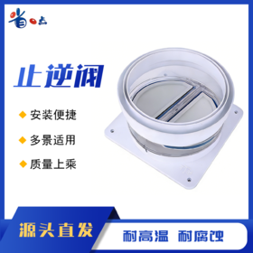 止逆阀止回阀 0.40kg 150、160、180可用 （5个装）