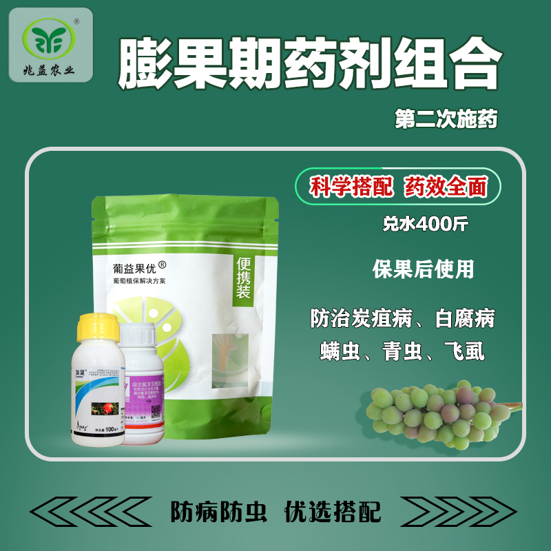 葡萄膨果期第二次药剂防治组合防治炭疽病霜霉病青虫螨虫蚜虫