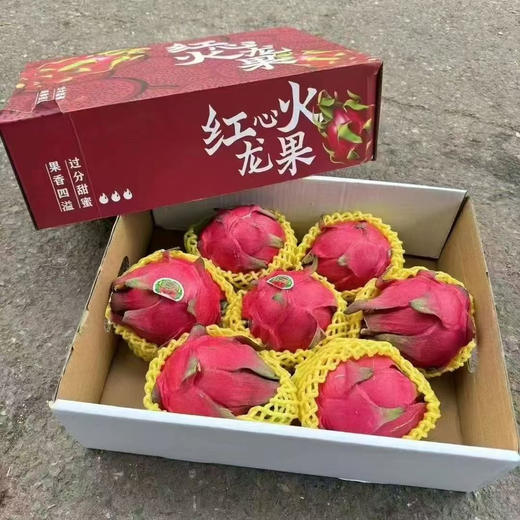 海南红心火龙果 商品图6