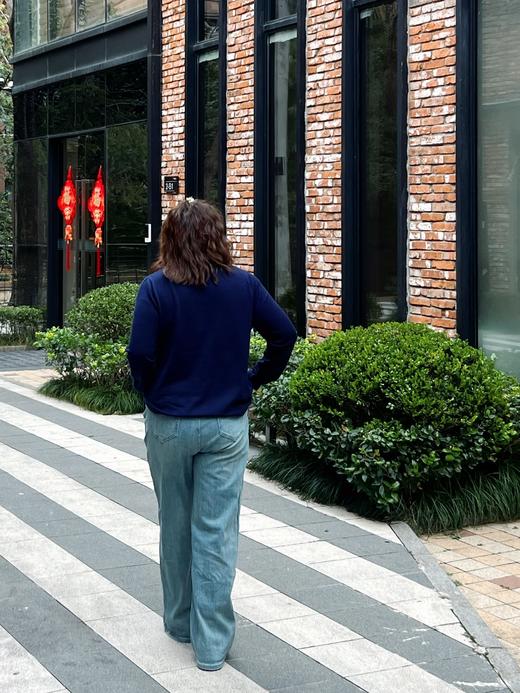 【群内福利】POLO领套头衫，云卷云舒秋女大码女装百搭显瘦羊毛羊绒两色套头衫 商品图6