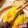 云南可烤榴莲蜜薯  黄金糖度|为烤而生|绵密化沙 商品缩略图0