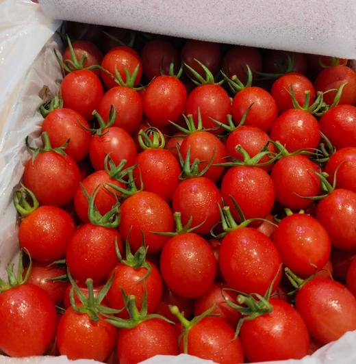 品牌电白千禧小番茄礼盒顺丰包邮*3箱 商品图5