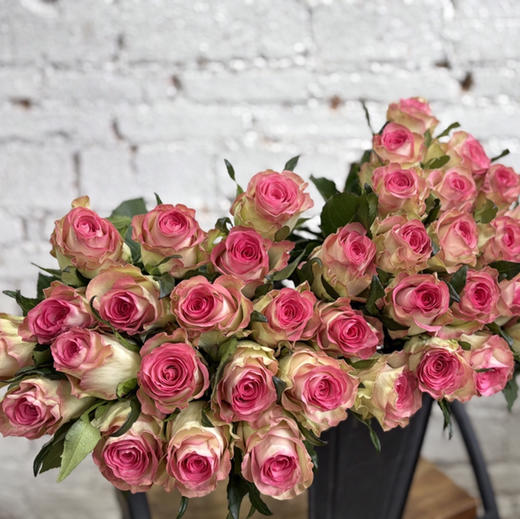 玫瑰.水精灵 商品图1