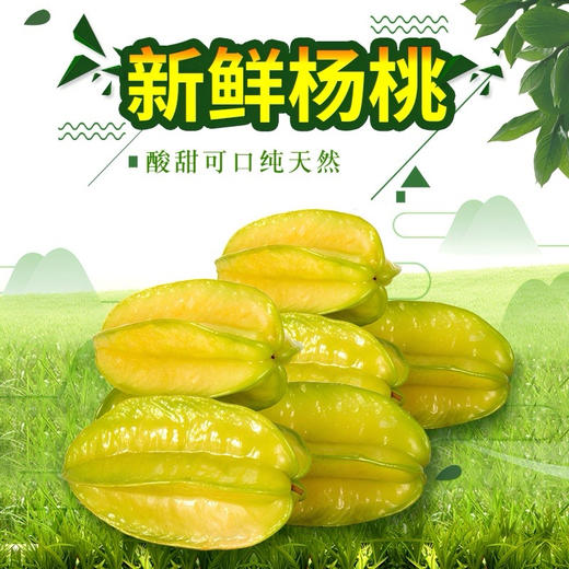 【下单后48小时左右发货】福建漳州软枝树上熟杨桃  3斤左右 约6-8个 清甜可口 水分足 鲜嫩多汁 ，纤维少、果脆汁多、甜酸可口、芳香清甜 商品图10