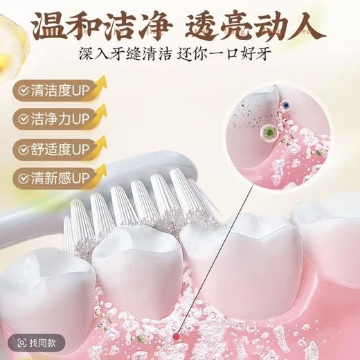 草本牙粉 植物配方去渍白牙草本固齿牙粉青盐去黄深层清洁 商品图4