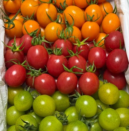 品牌电白千禧小番茄礼盒顺丰包邮*3箱 商品图1