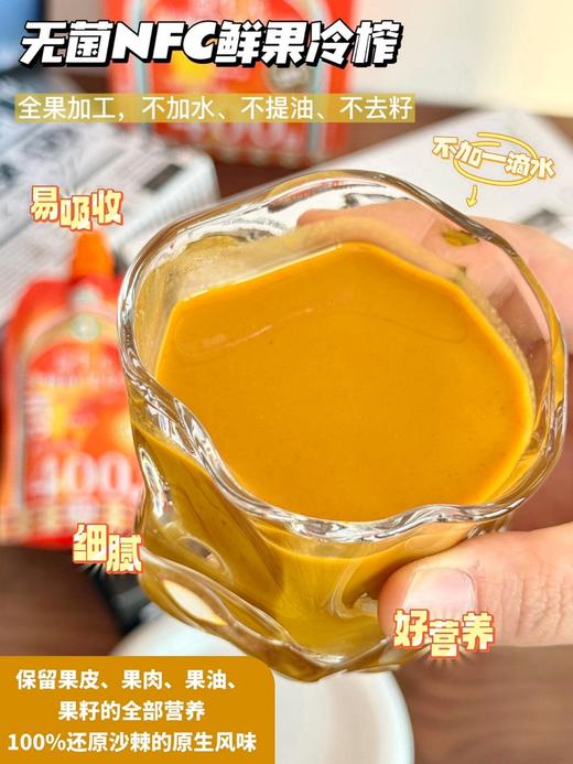 吉萃元益生元沙棘鲜果原浆 商品图5